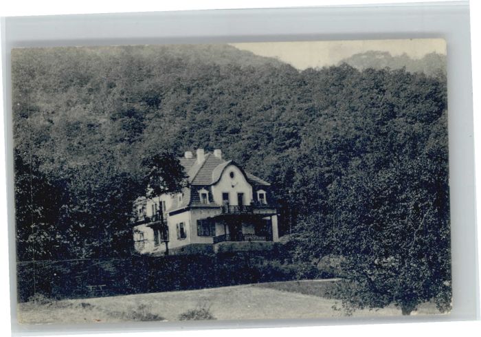 Bad Kreuznach Pension Waldfriede Theodorshalle