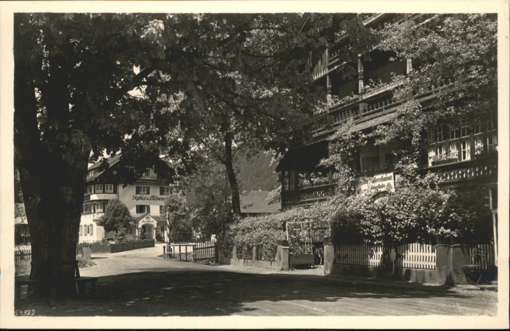 Bayrischzell Königslinde