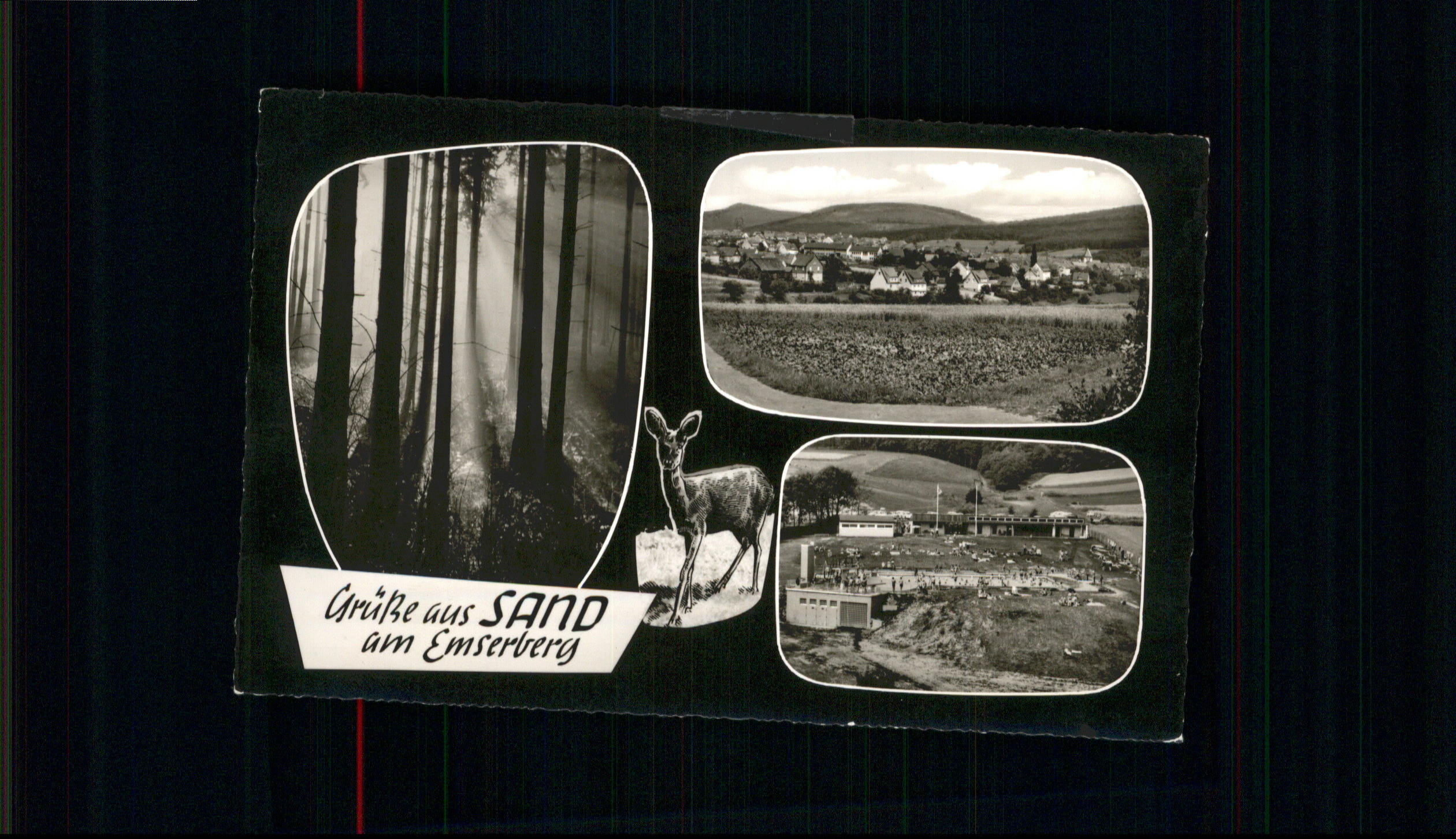 Sand Kassel Emserberg Reh