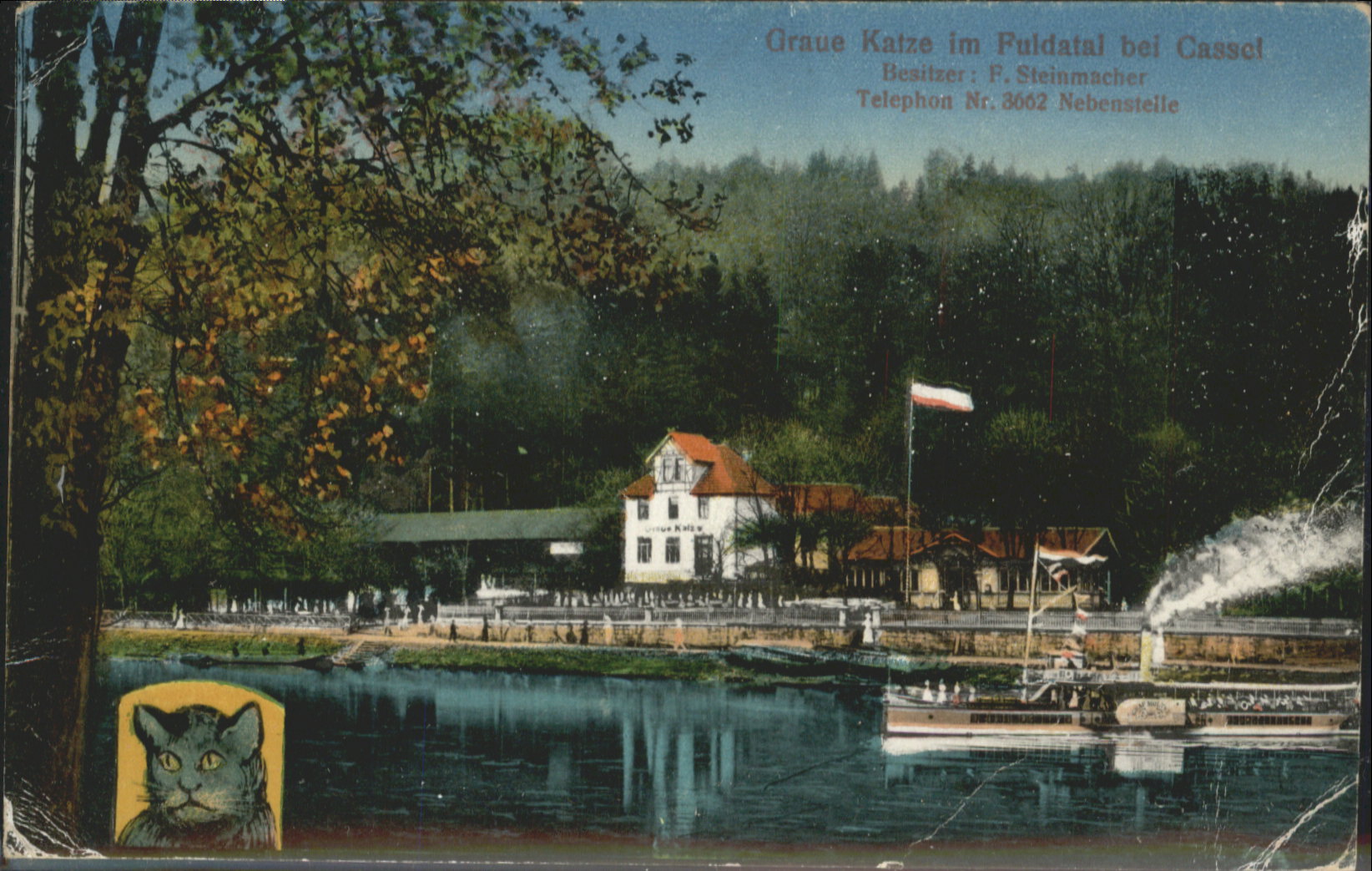 Cassel Kassel Graue Katze Dampfschiff