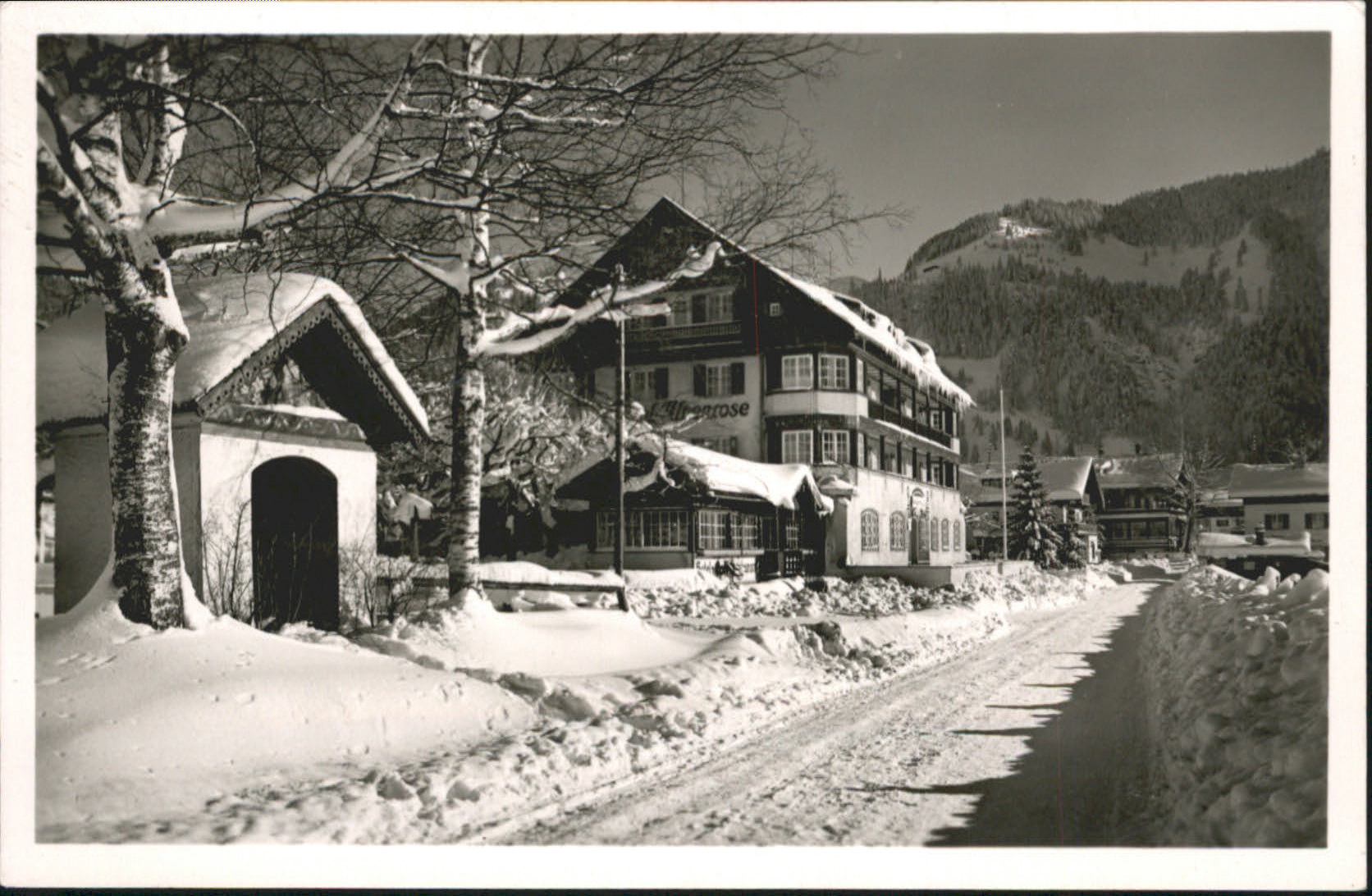 Bayrischzell Hotel Alpenrose