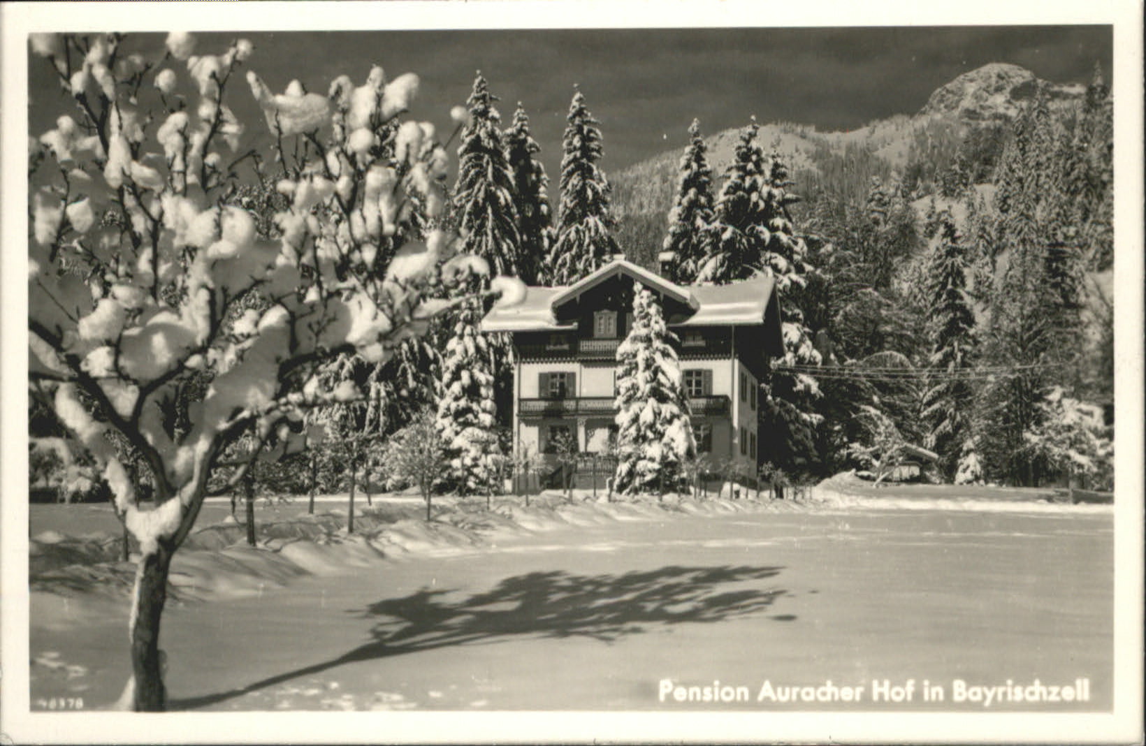Bayrischzell Pension Auracher Hof Winter