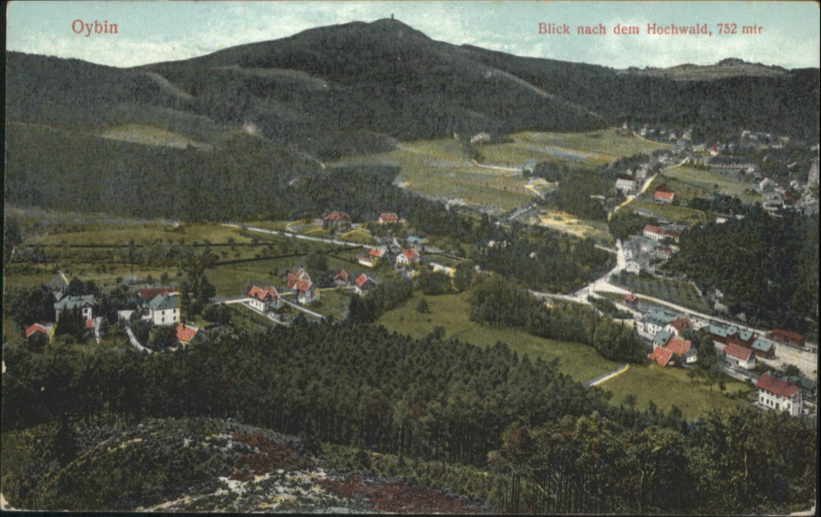 Oybin Sachsen Hochwald