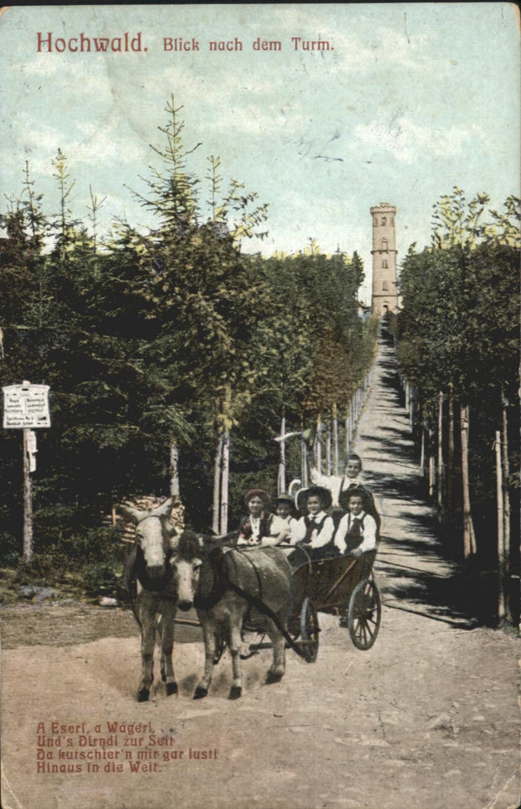 Hochwald Zittau Aussichtsturm