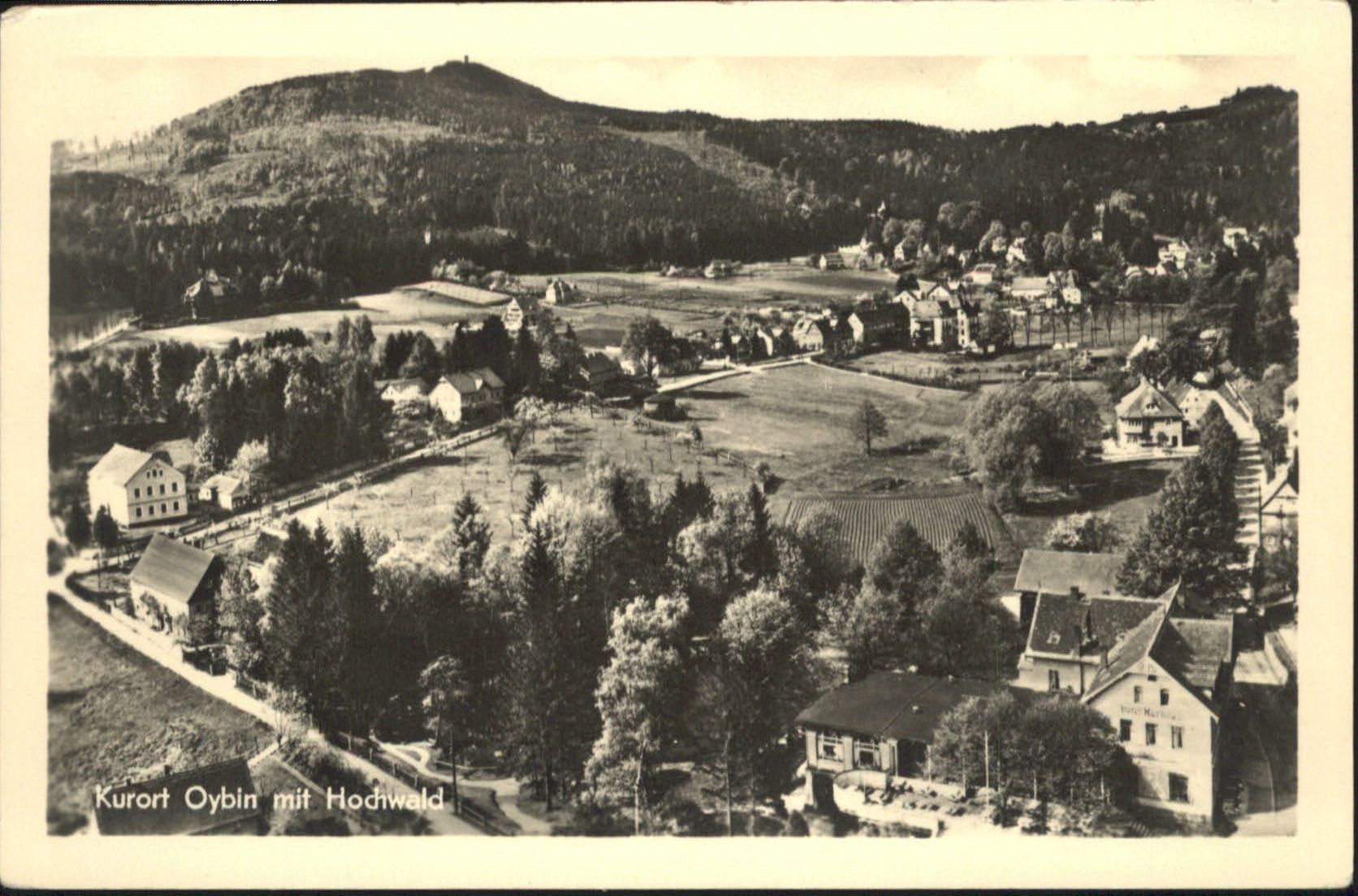 Oybin Sachsen Kurort Oybin
Hochwald