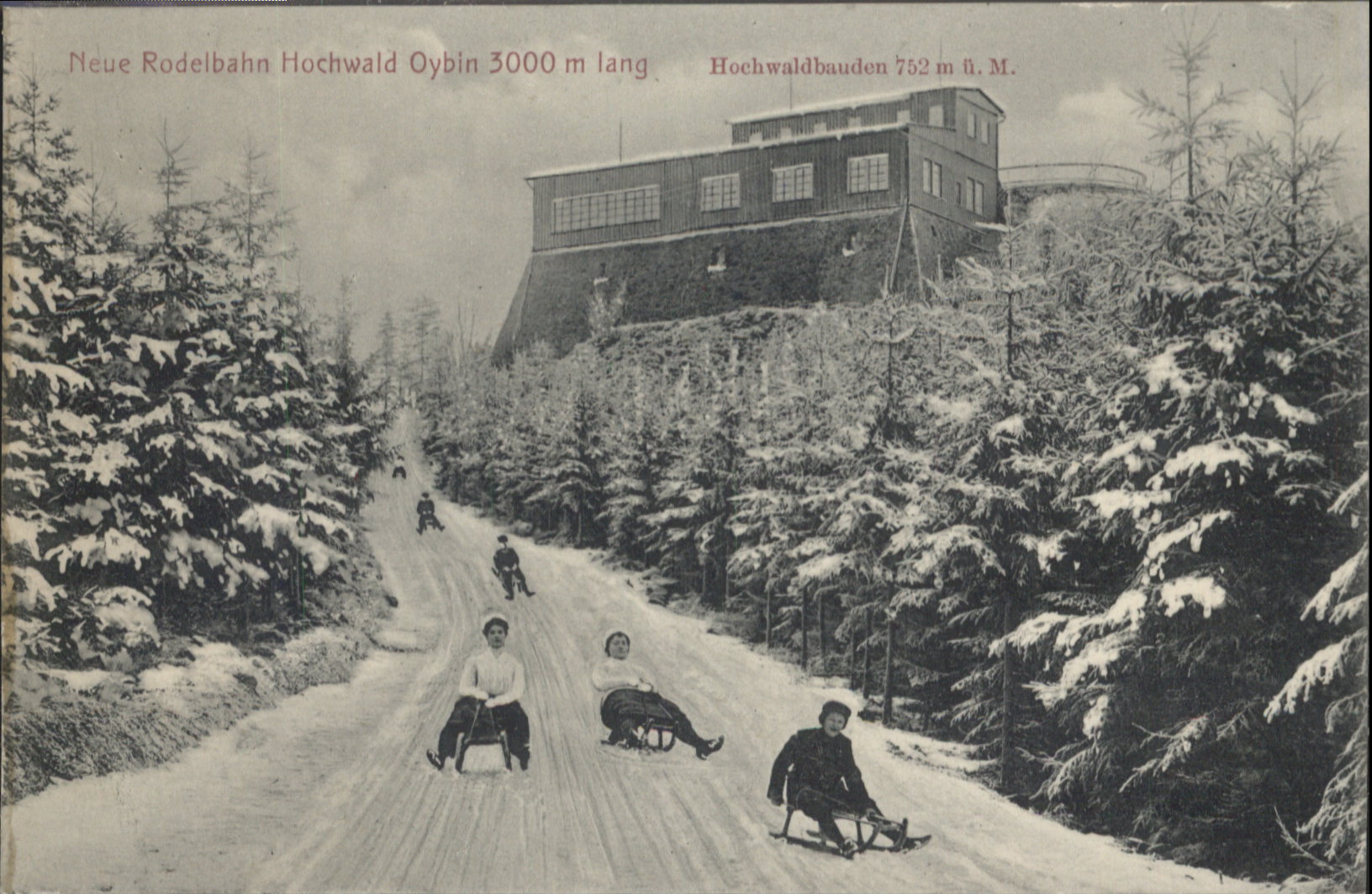 Oybin Rodelbahn Hochwald