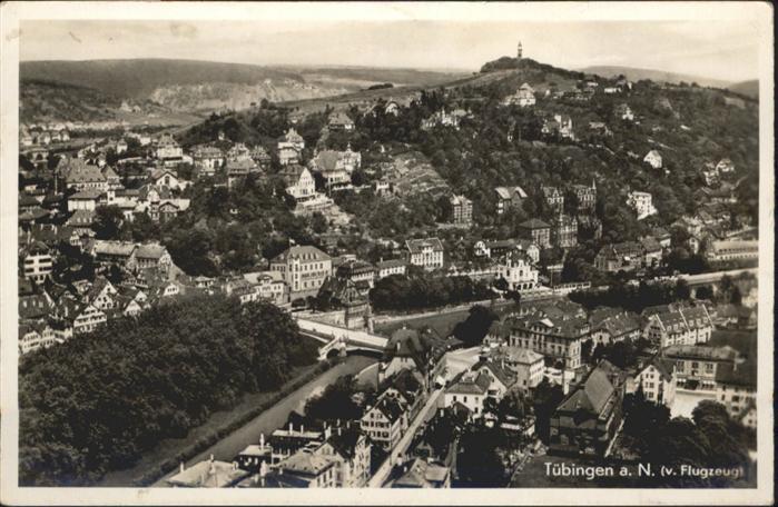 TueBINGEN BW Flugbild