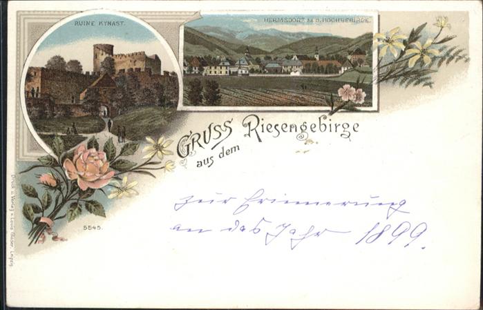 Hermsdorf Riesengebrige Ruine Kynast Blume