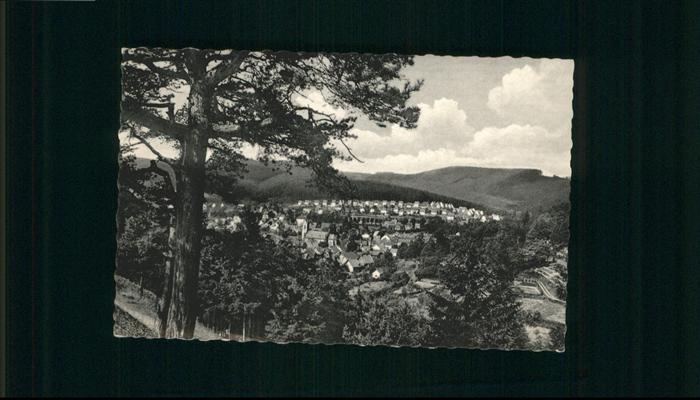 Niedermarsberg Luftbild