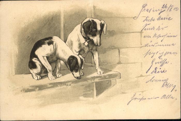 Hunde Prägedruckkarte