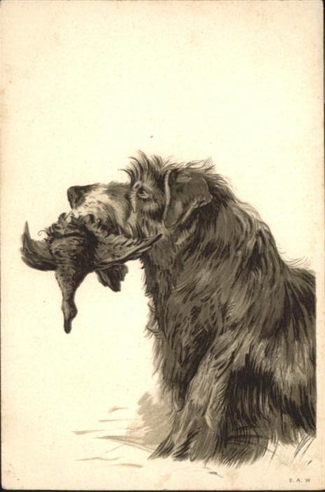 Hunde Vogel Jagd Prägedruckkarte