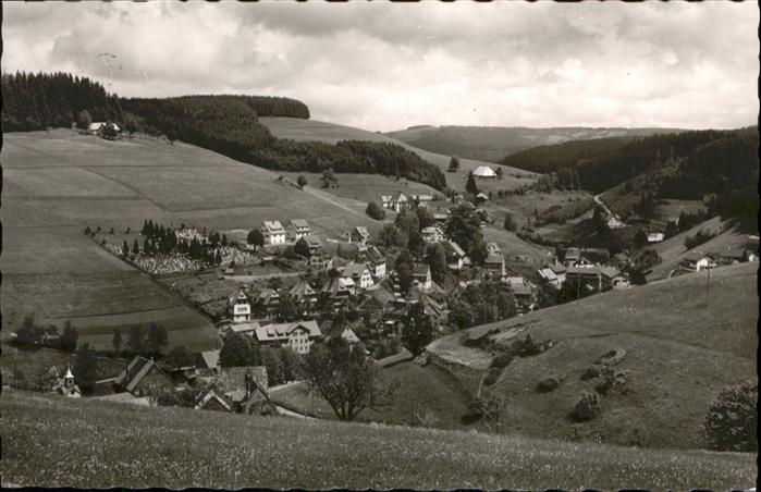 Guetenbach Schwarzwald Furtwangen BW Schwarzwald