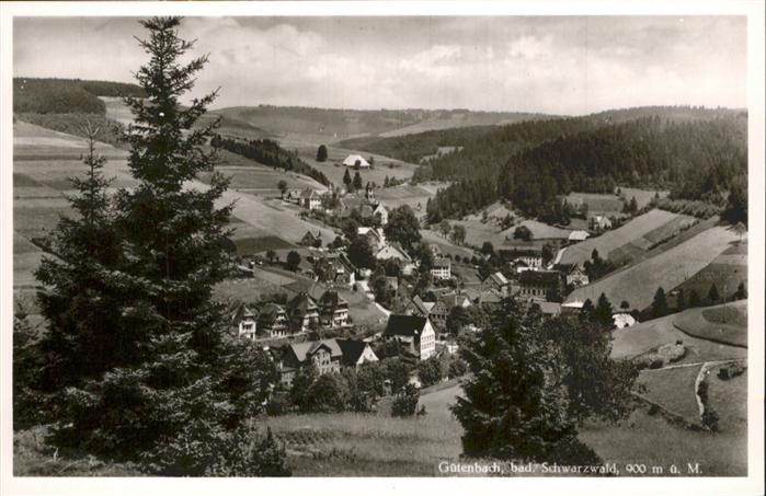 Guetenbach Schwarzwald Furtwangen BW Schwarzwald