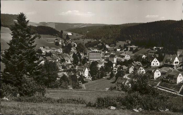 Guetenbach Schwarzwald Furtwangen BW Schwarzwald