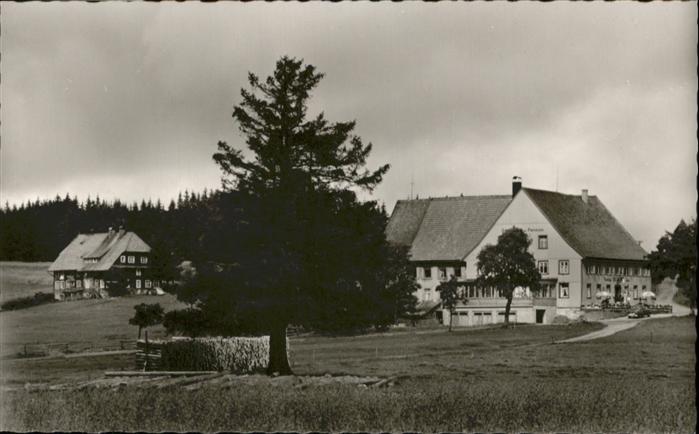 Escheck Wintersportplatz