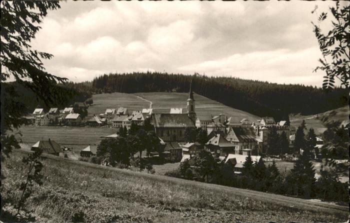 Schoenwald Schwarzwald Gesamtansicht