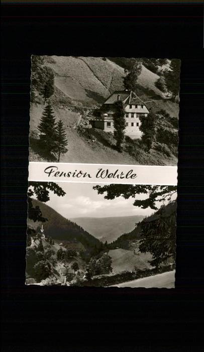 Guetenbach Schwarzwald Furtwangen BW Pension Wehrle