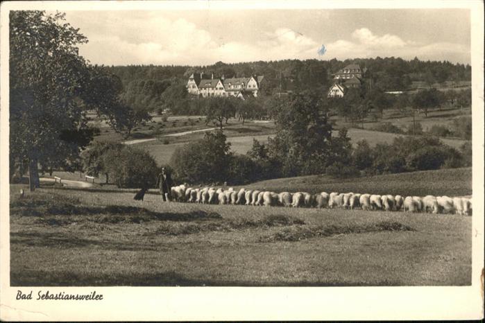 Bad Sebastiansweiler Schäfer mit Schafherde
