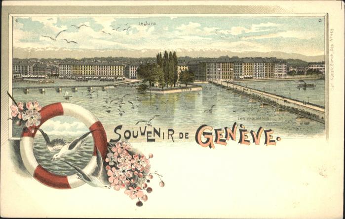 Geneve GE Bruecke Voegel