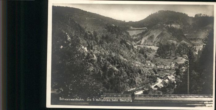 Triberg Schwarzwaldbahn Bachjörg