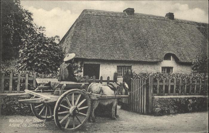 Limerick Irland Waiting for Orders Pferdekutsche Adare