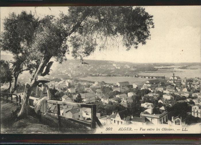 Alger Algerien Vue entre les Oliviers Aussicht