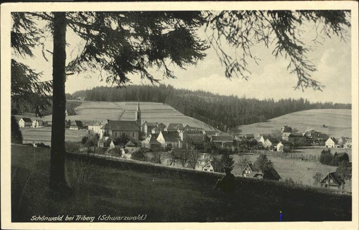 Schoenwald Schwarzwald Triberg