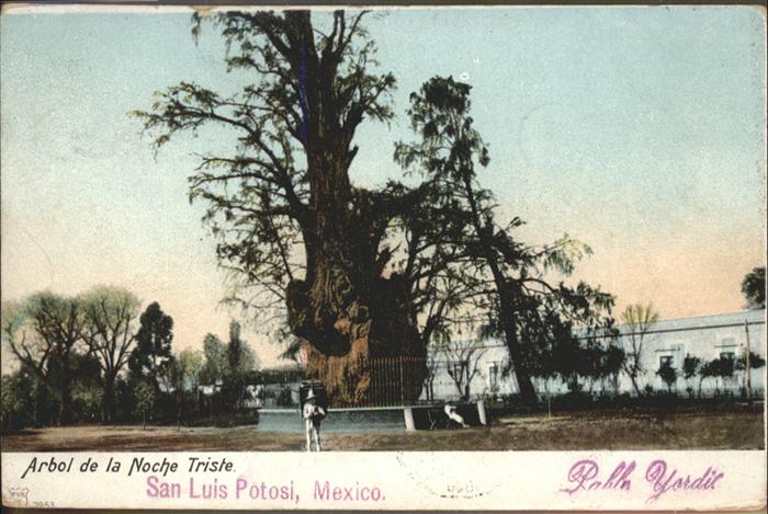 San Luis Potosí