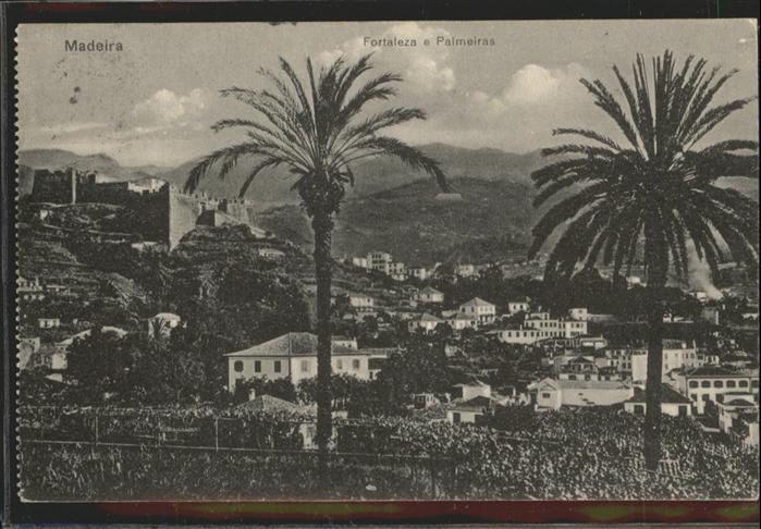 Madeira Portugal Fortaleza Palmeiras