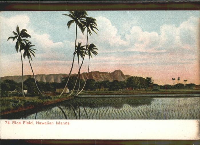 Hawaiian Gardens Rice Field