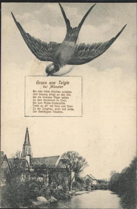 Telgte Warendorf Schwalbenkarte