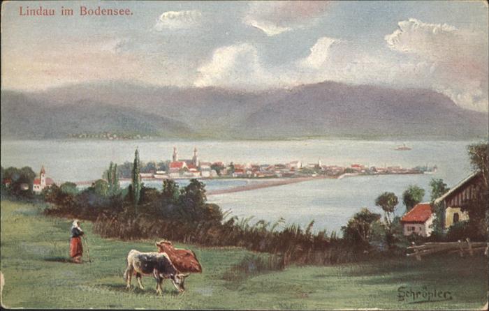 Lindau Bodensee Kühe