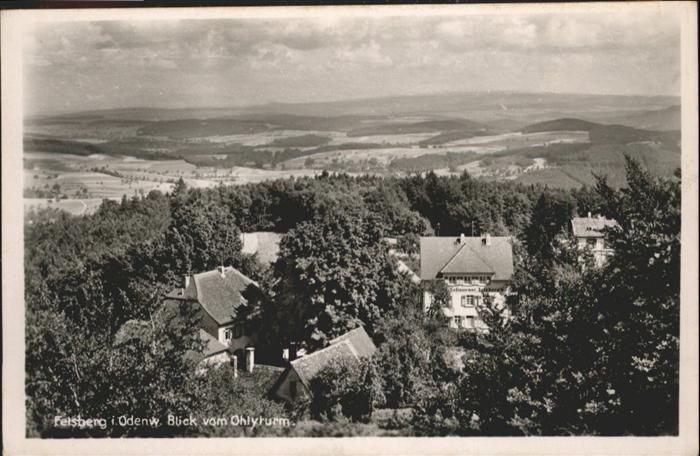 Felsberg Odenwald Blick vom Ohlyturm