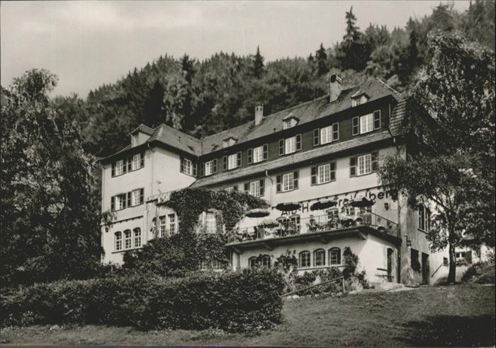 Traifelberg Alb-Hotel Traifelberg