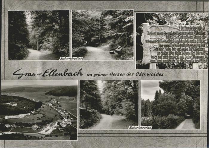 Grasellenbach Odenwald Naturlehrpfad