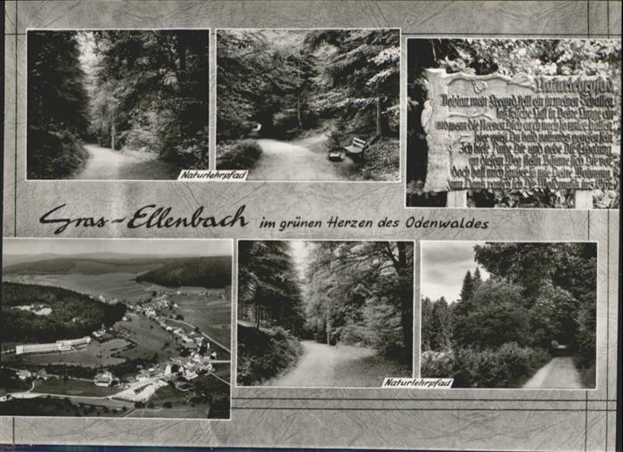 Grasellenbach Odenwald Naturlehrpfad