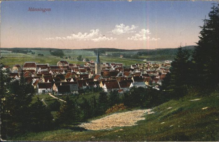 Muensingen Stadt
