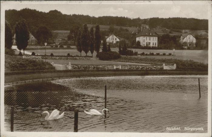 BIELEFELD  CITY Buergerpark