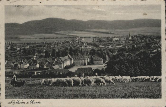 Northeim Gesamtansicht
Schafherde