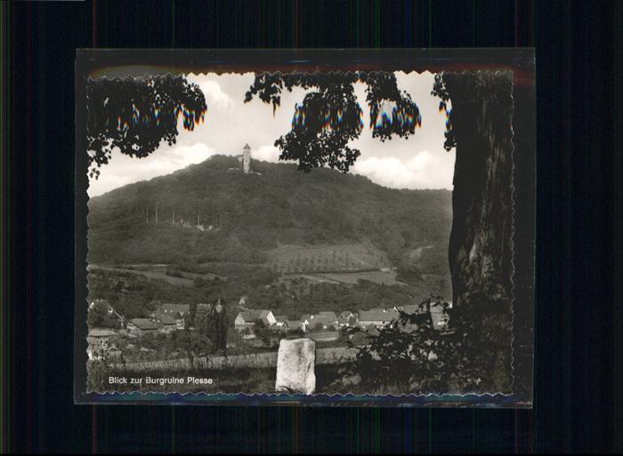 Bovenden Burg Plesse