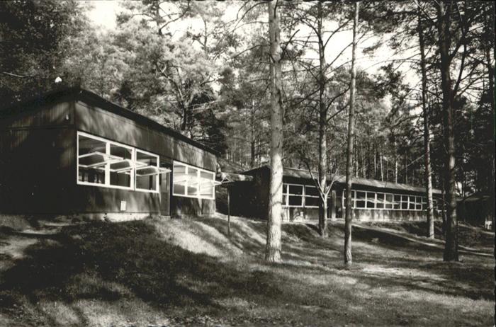 Jesteburg Waldsanatorium Rüsselkäfer