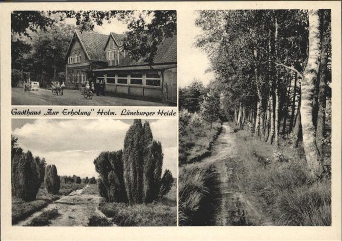 Holm-Seppensen Lüneburger Heide