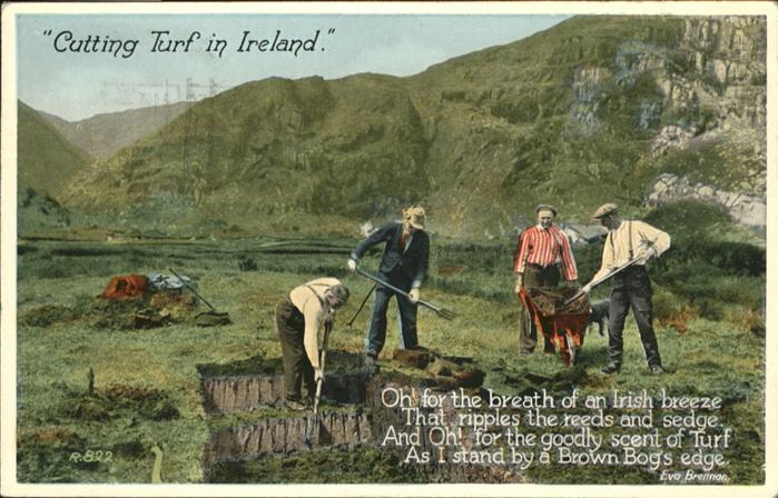 Landwirtschaft Ireland Bauern