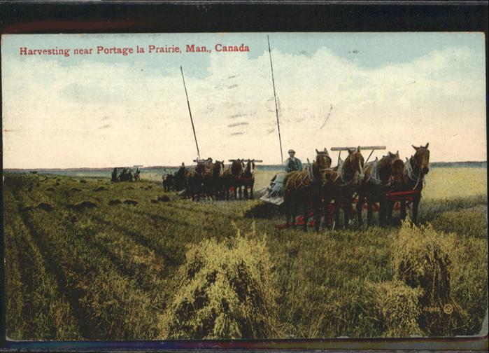Landwirtschaft Harvesting Canada Portage la Prairie Pf