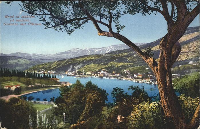 Gruz Gravosa Panorama