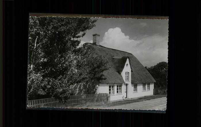 Nebel Amrum Friesenhaus