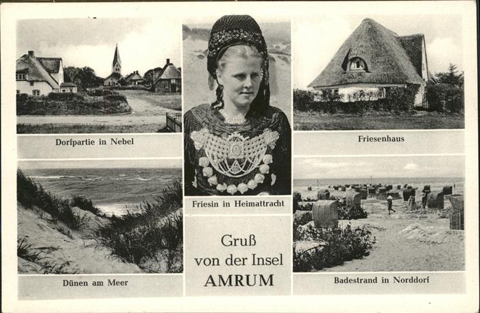 Amrum Friesenhaus Dünen Badestrand Friesin in