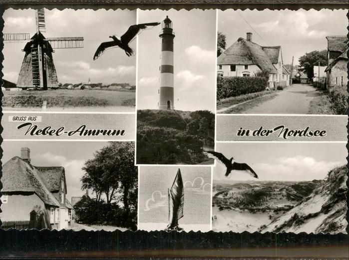 Nebel Amrum Möwe Mühle