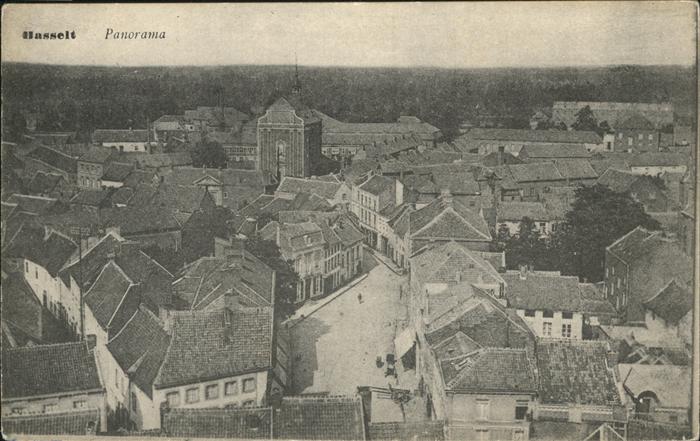 Hasselt Limburg Panorama