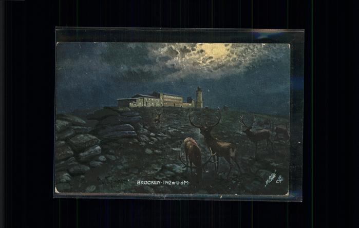 Brocken Harz Brockenhotel bei Nacht Hirsche